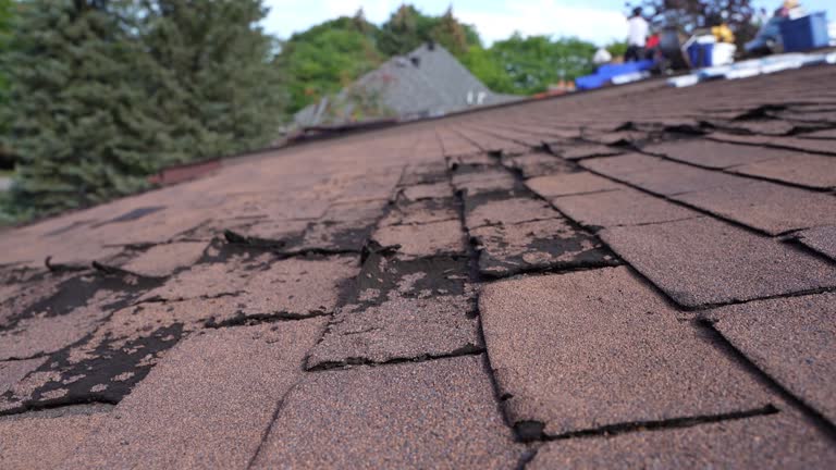 Best Commercial Roofing Services  in Vandalia, IL