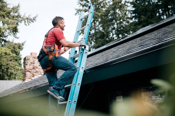 Best Roof Moss and Algae Removal  in Vandalia, IL
